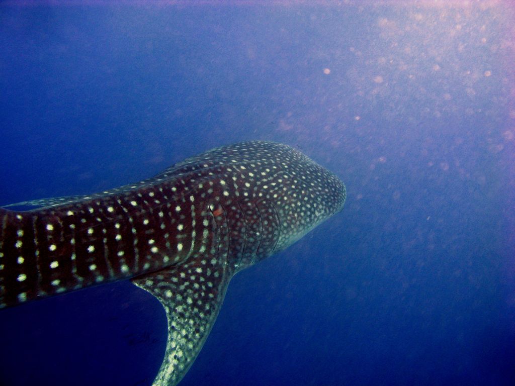 53e06027-f560-4b5a-9289-4324800f75b0