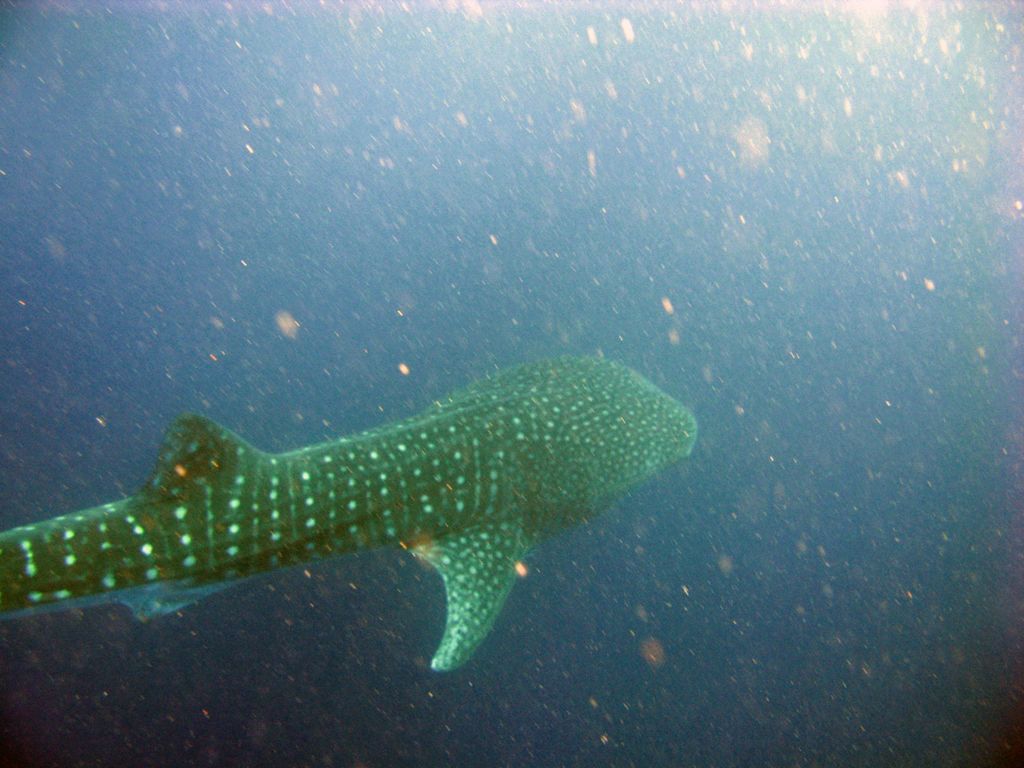 53e06027-f560-4b5a-9289-4324800f75b0