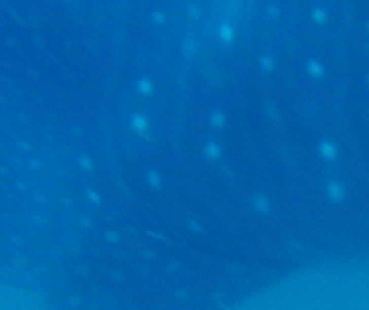 94763d79-9e92-4a9a-beb1-bbcc6bd0b5c5