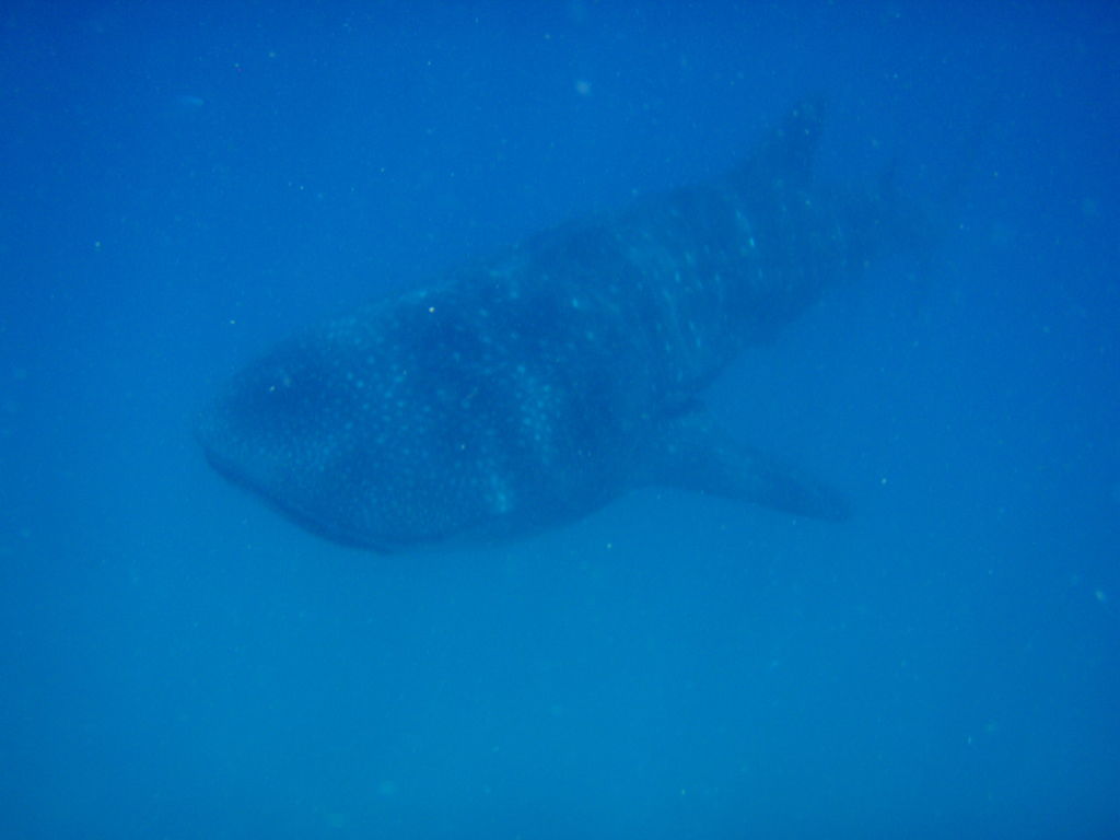 94763d79-9e92-4a9a-beb1-bbcc6bd0b5c5