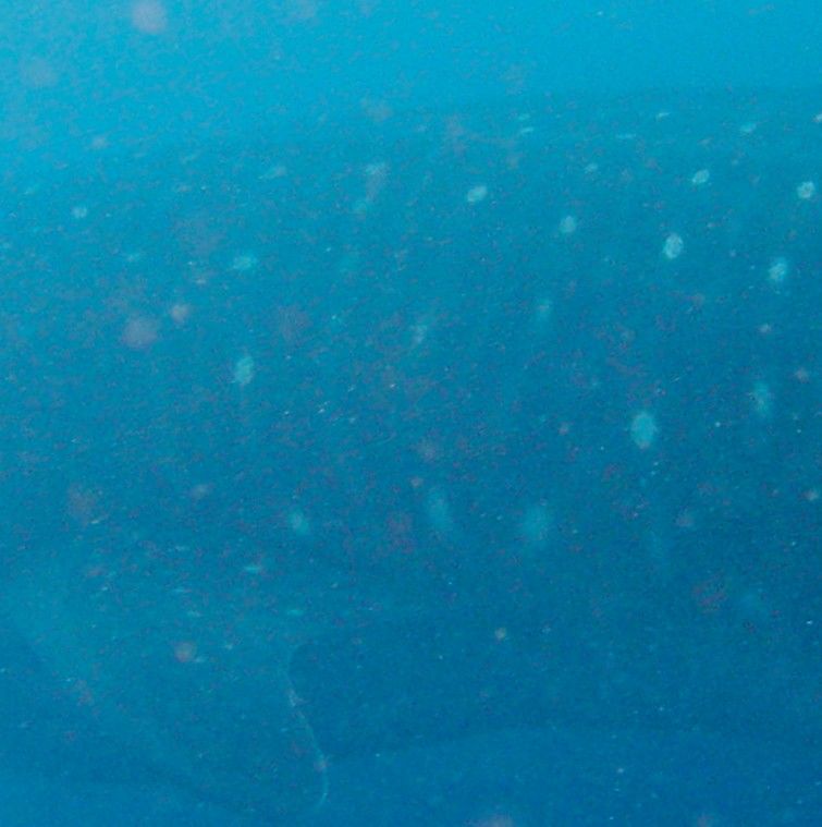 d54feeff-52d3-488c-8e2a-a1e40f9c524c