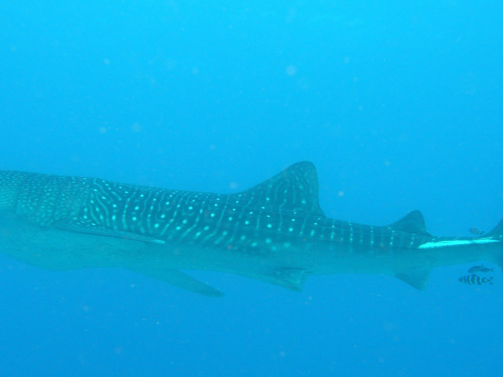 e14b3f24-beb1-4ce6-aff4-8c6e98b4c86b