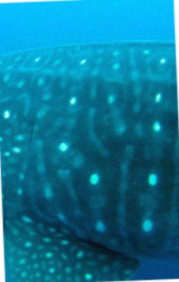 a4ed9d9b-3544-41fc-bb17-b00d3ff1e051