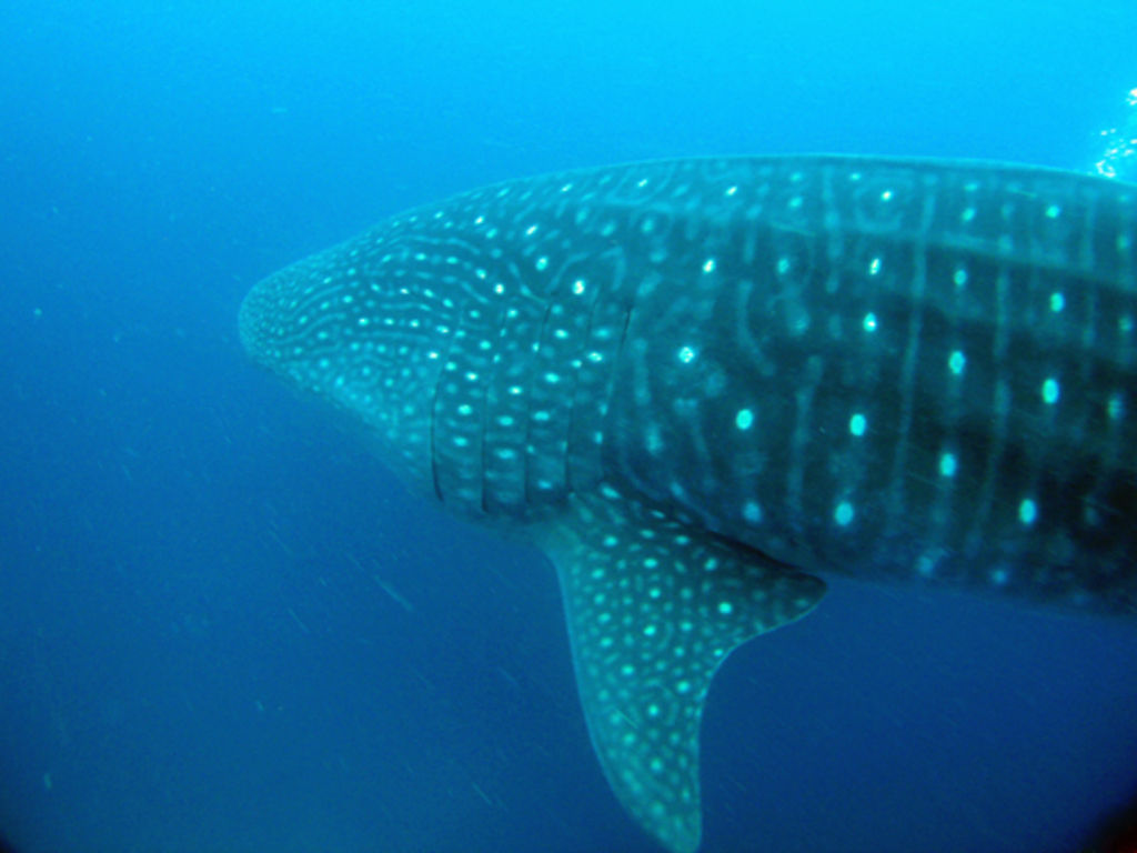 a4ed9d9b-3544-41fc-bb17-b00d3ff1e051