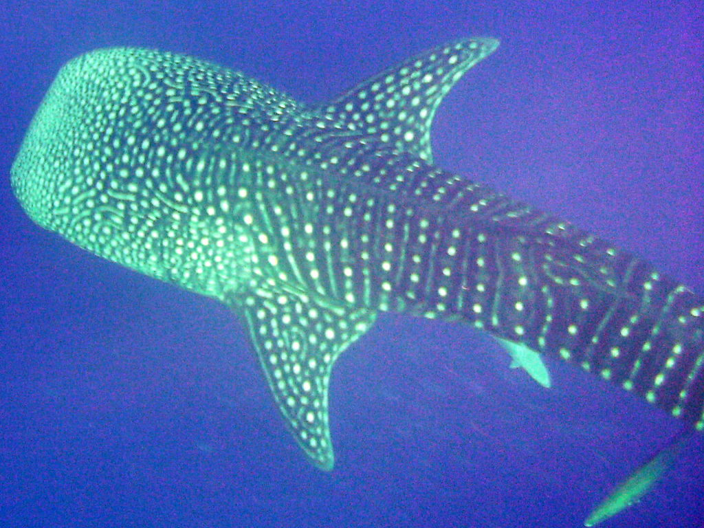 62e82b99-03ae-462e-a842-8317217d5241