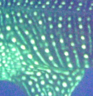 62e82b99-03ae-462e-a842-8317217d5241