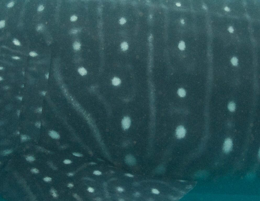 5af1bbc3-52b3-4a36-a985-253a7d7fe624