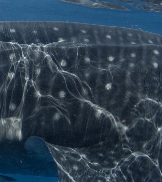 b3e49653-c405-4c48-bb37-f98ee8b7dcff