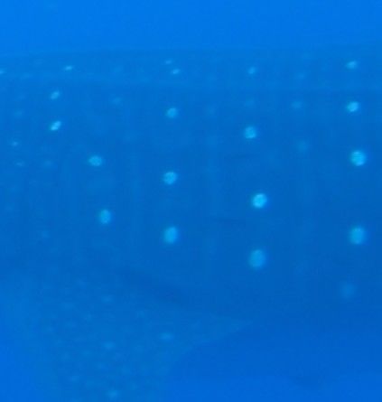 50585175-3e59-4719-b568-72fe241e3ff0