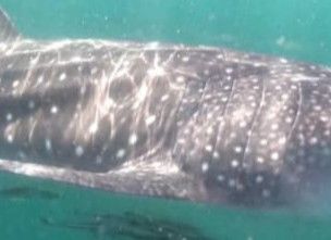 22acd44a-ee70-44d8-879b-2231ea10ea85