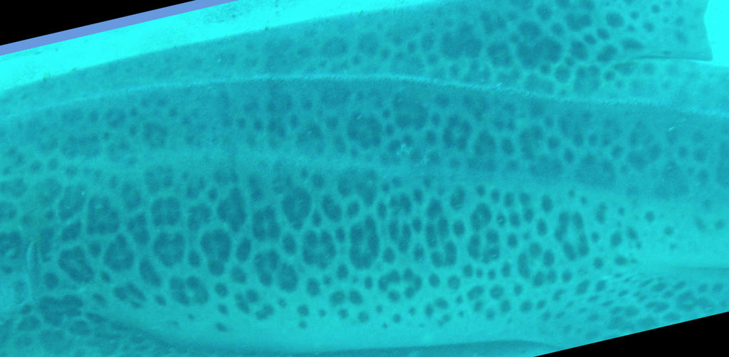 2749e10b-28e8-4b2b-a3d7-5524d5ba3be2