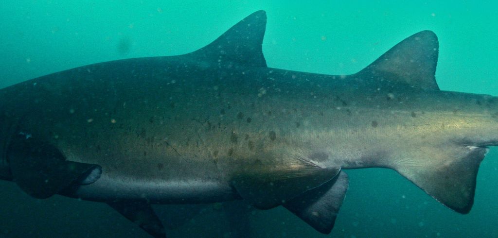 003ce9c4-cab1-4f0f-ba16-46c4405a7f73