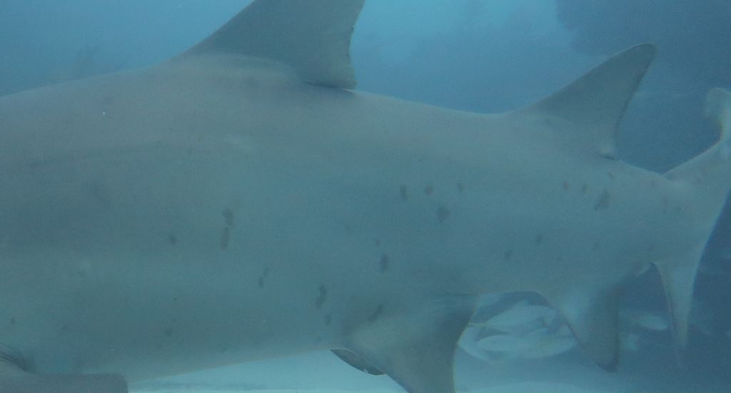 42473f04-c593-427c-adf9-396a4abb4089