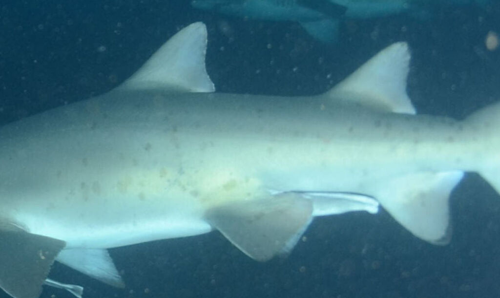 15290b99-f307-4915-bbe6-f51edf26df91