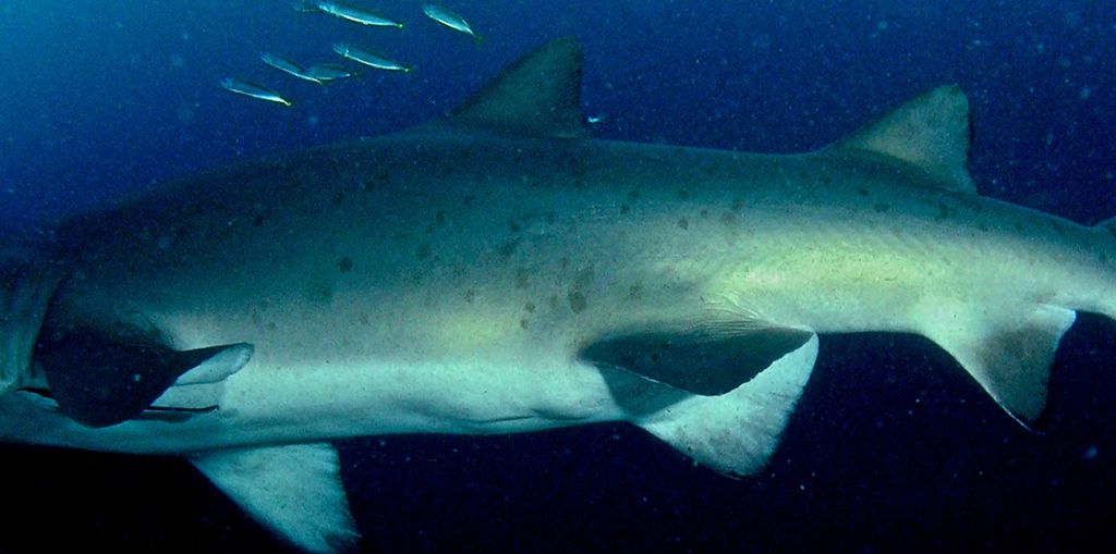 da65837d-9e58-48cb-8798-1e929dc6b084