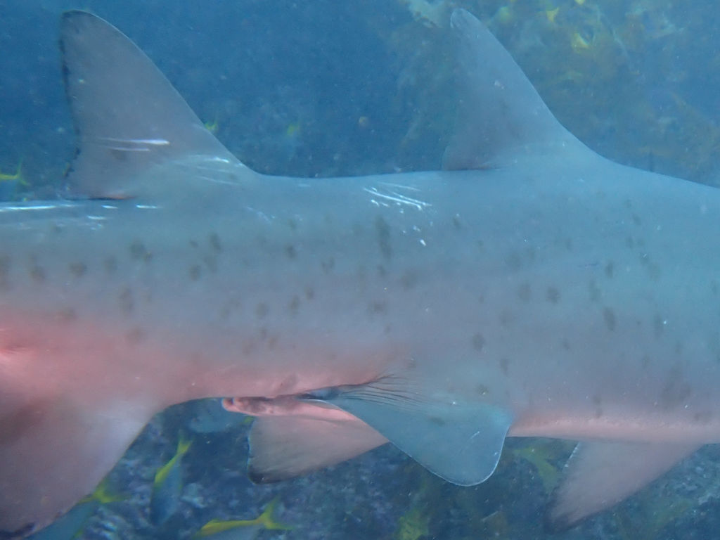 31d401b2-a609-4d69-9ebd-4c0628b4477e