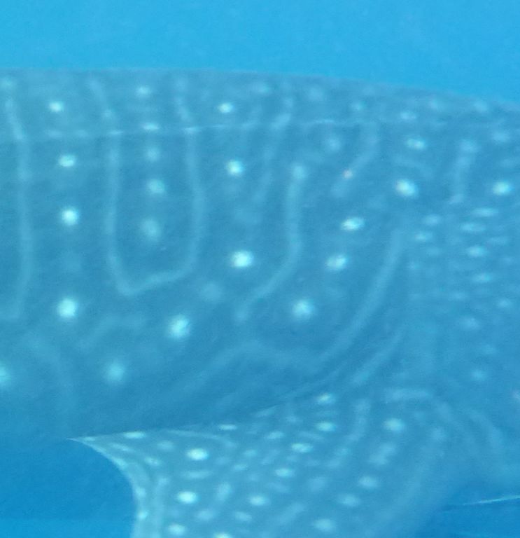 3f8fe4aa-ef49-498c-9689-542641c880ba