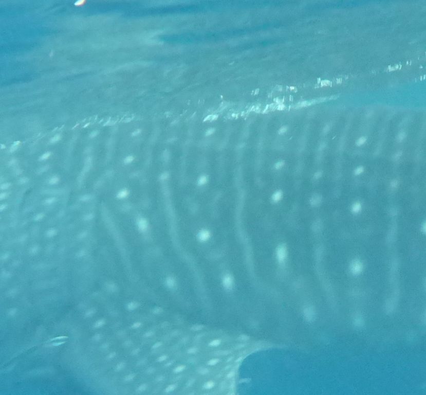 3f8fe4aa-ef49-498c-9689-542641c880ba