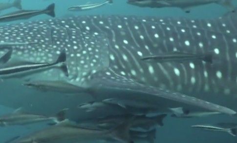 4b492b6e-8188-47ad-b1a0-8b9a252526d7