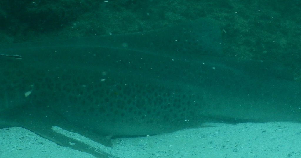 8b19ef28-54d4-495a-a96f-7a20df7d45f0