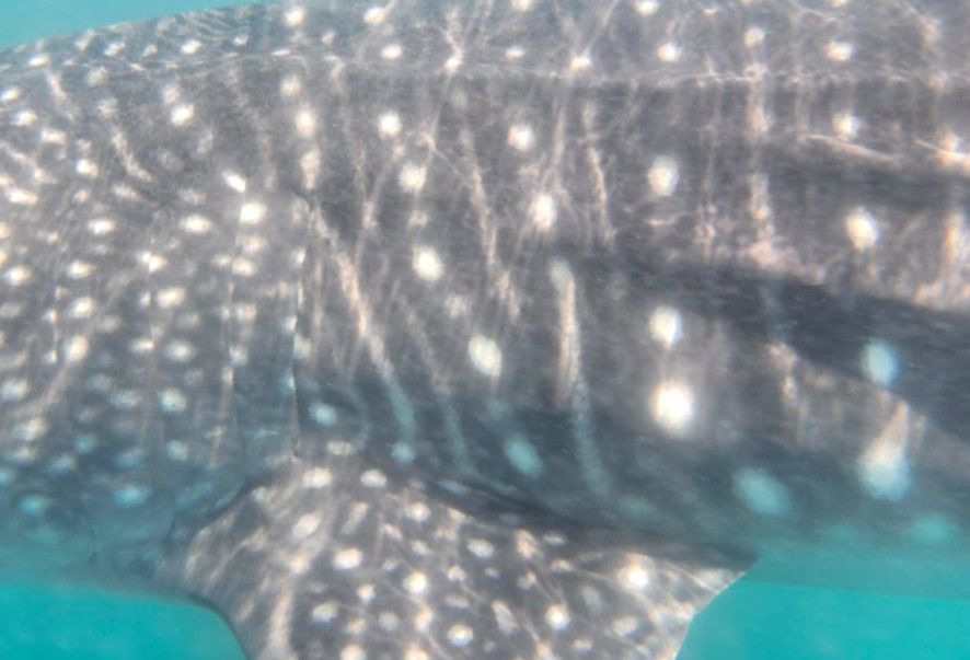 ac76fe0e-52d6-4311-adad-774a90e17809