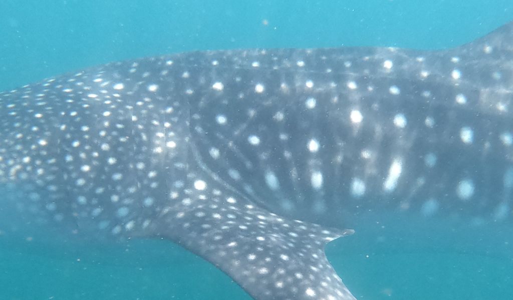 dcf2d147-1b4a-4ef4-9441-823952b68be7