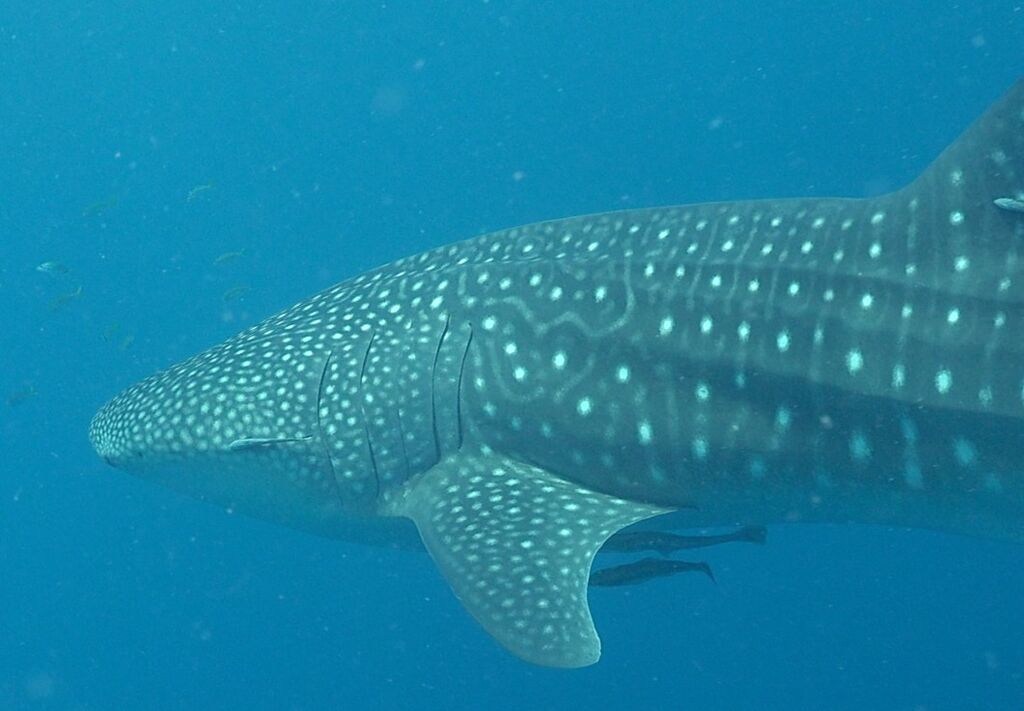 3769cdf6-aa78-4388-802a-29373a1307b8