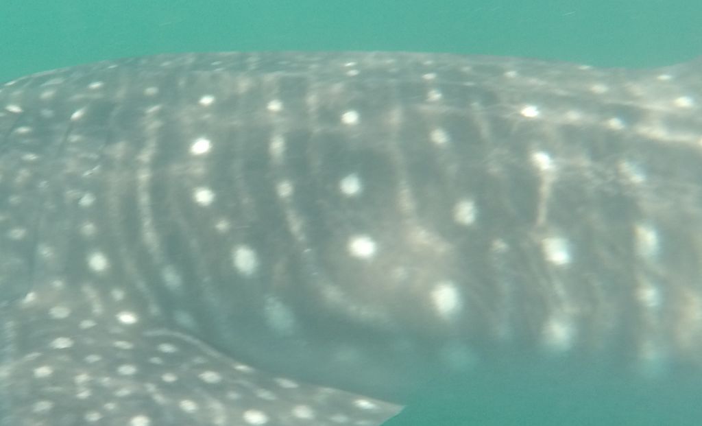 77110e63-99e5-4547-b4a1-17d6d2084211