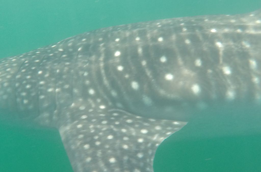 77110e63-99e5-4547-b4a1-17d6d2084211