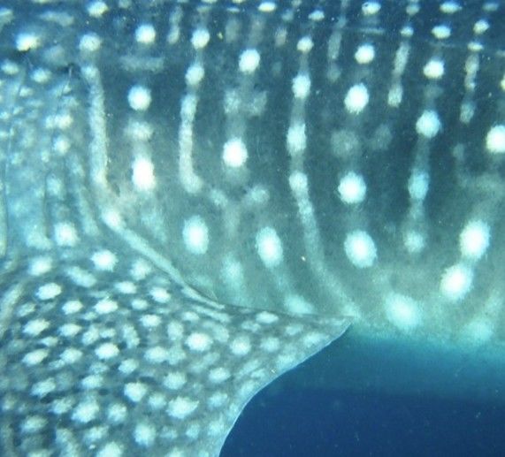 3747b1f0-627e-409c-b2d4-b4e386e658bd