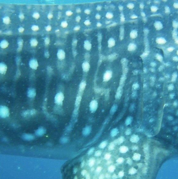 3747b1f0-627e-409c-b2d4-b4e386e658bd