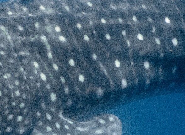 6bc91eb4-8e61-4d38-afaa-a29d8af2d855