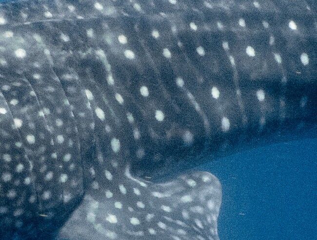 6bc91eb4-8e61-4d38-afaa-a29d8af2d855