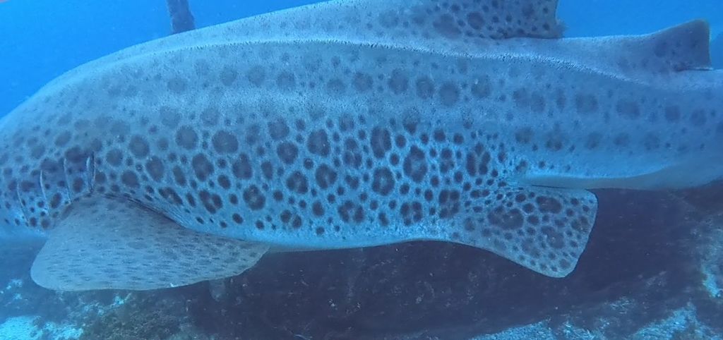 5f30e02f-fb5e-40c6-861d-e7f129cfba1e