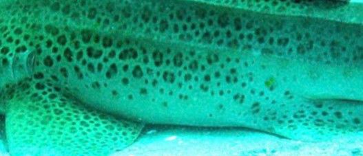 b48cf762-914c-41ed-b0a6-0f25b5601afc