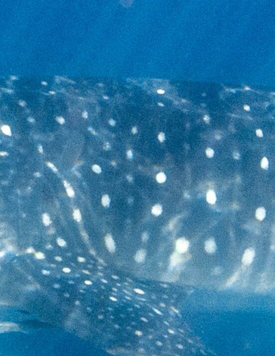 436f4d6f-fd0c-46ed-b400-a031e3a107c9