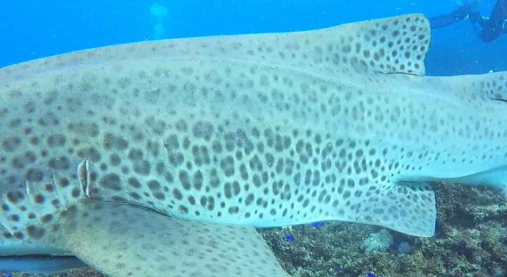 0f1b52fd-24d9-4343-b208-d184c78ab070