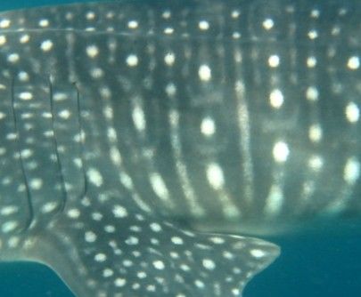 1750faf3-55d5-4a6a-8c28-202a6da26e9c