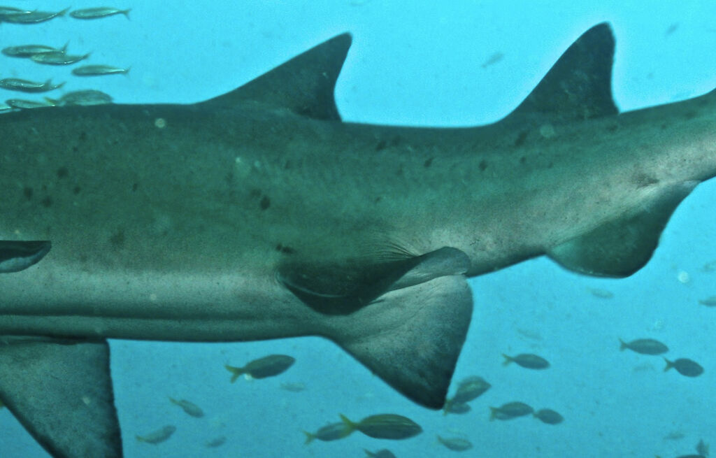 765a2bf4-4f0d-458f-a549-78b5fa9559d5