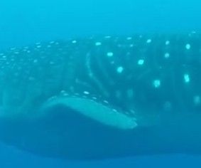 737d5bd8-56fa-4e1d-9813-a0e40f7a1706