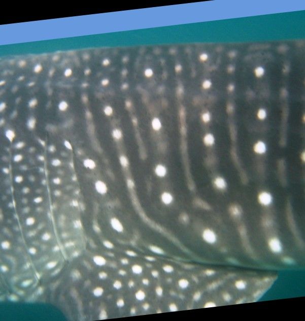 2bc6ea82-3614-405b-8003-a75fb0341c6c