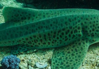 083f1a98-b58b-4d0c-86c1-026fb9c6711a