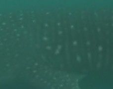 b036acb9-deba-43b8-9115-76e929c22fb7