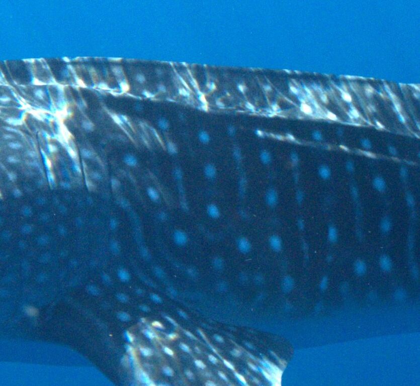 17f56244-42cb-4450-be7e-b427f4247676