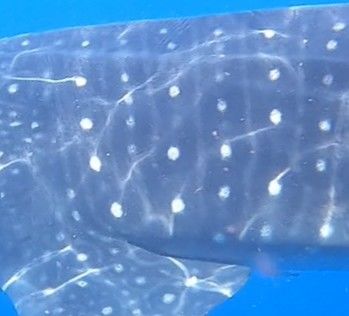 e54b3297-8ed8-4ec7-bf96-c6eb30606fff