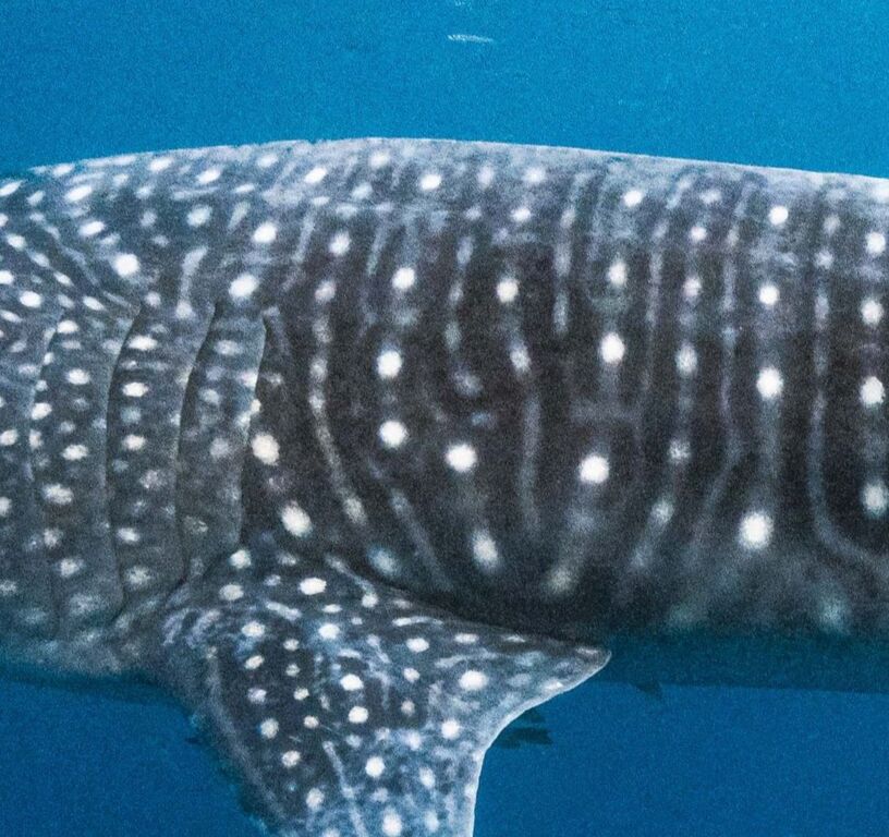 fcf6dd2d-ae46-4c20-9dfa-9f1b9f83f6a4