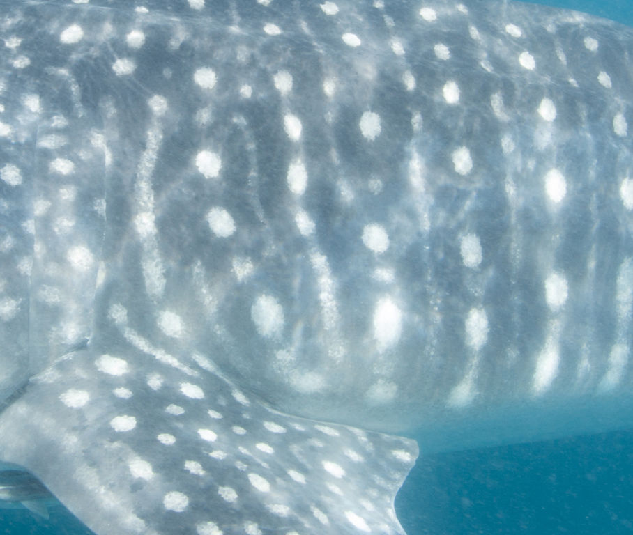 003374e7-8e15-4a60-ae26-e06298f7f0af