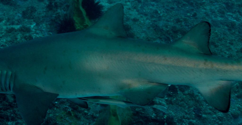 41e41af3-965e-42e7-a066-8aac04413561