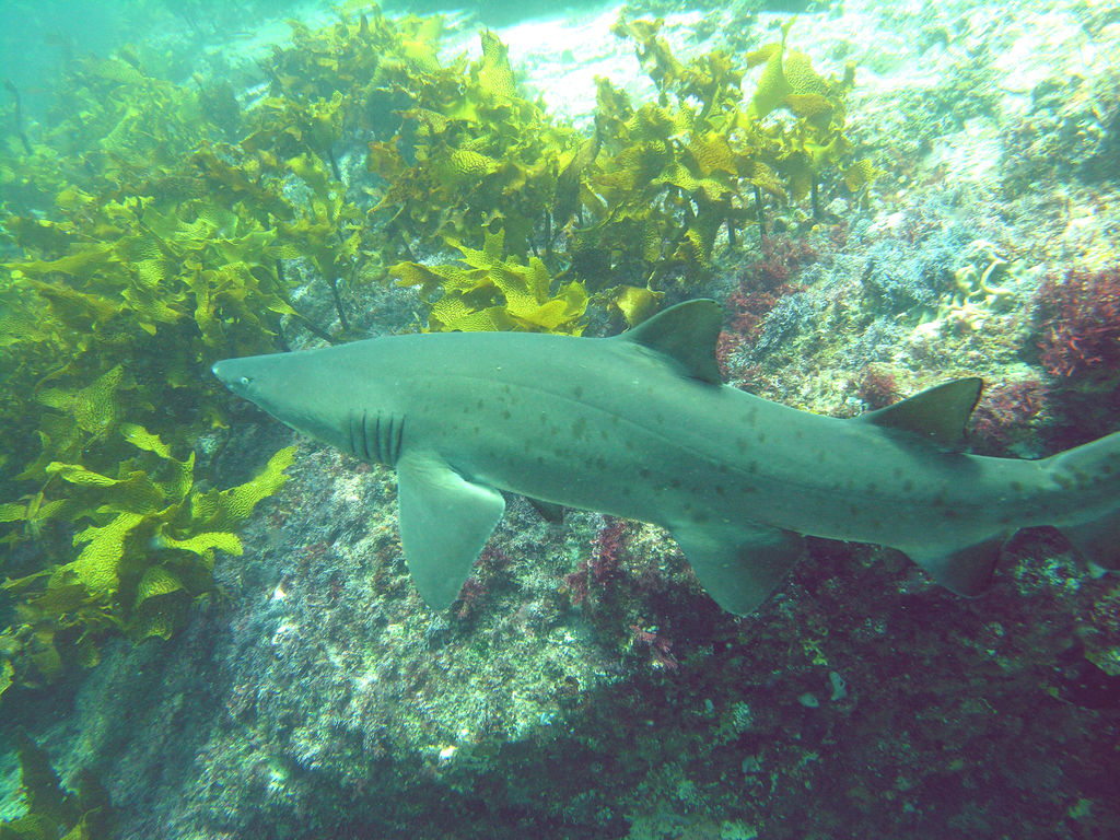 0847b9b2-1328-4a54-bf5f-a5c4ecbedc66