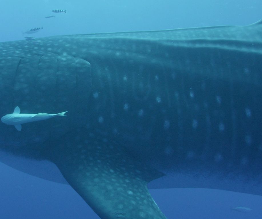 2dc4f022-5247-40e0-b69b-d7f2f3b14e48